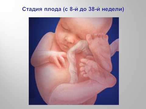 Изменения в организме женщины в третьем триместре