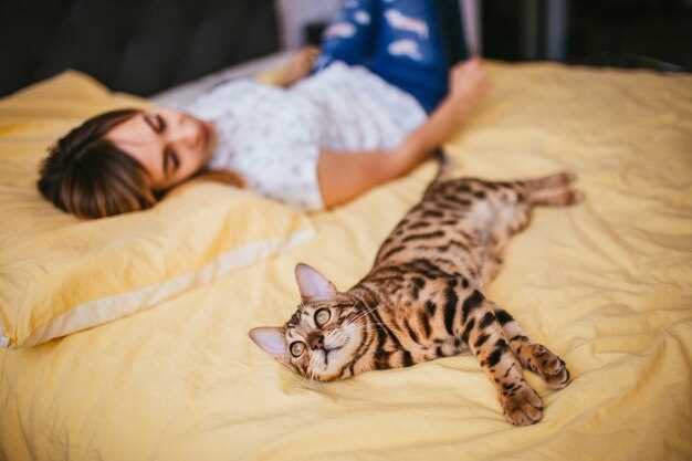 Образы кота в снах и их связь с внутренним состоянием
