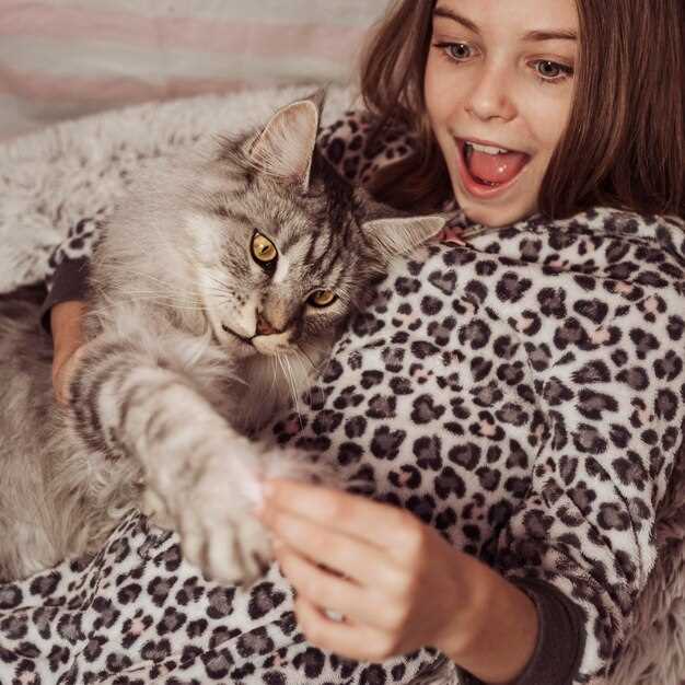 Коты в разных позициях: лежит, играет, наблюдает