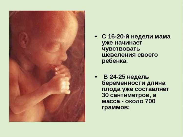 Сроки появления первых движений плода
