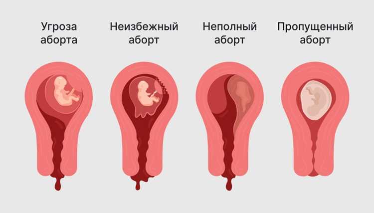 Роль гормонов в изменении выделений во время беременности