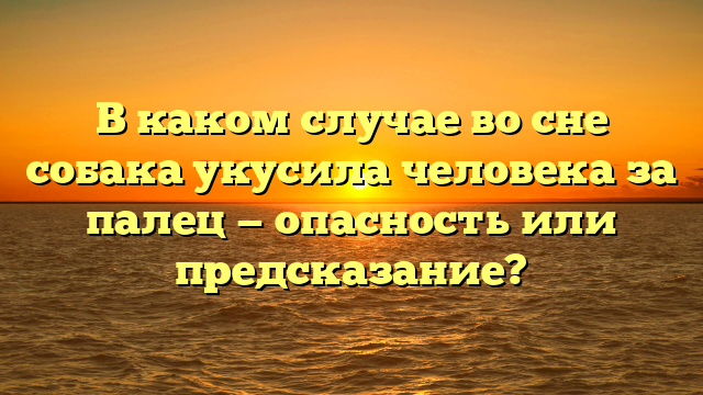 В каком случае во сне собака укусила человека за палец — опасность или предсказание?