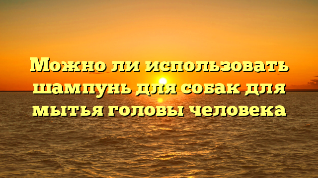 Можно ли использовать шампунь для собак для мытья головы человека
