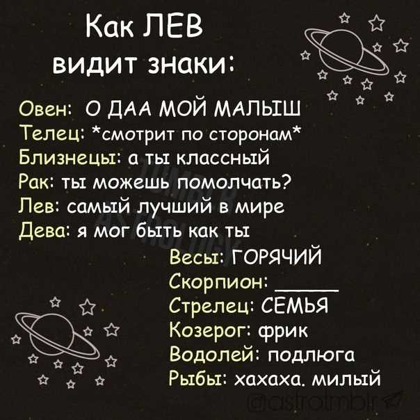Самый добрый зоозащитник — история, принципы и примеры работ, вдохновляющих на открытие сердца в помощи бездомным животным
