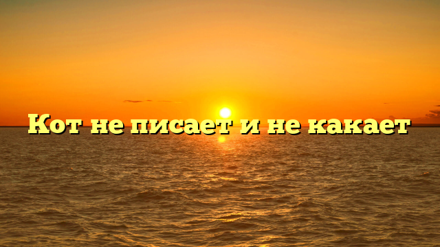 Кот не писает и не какает