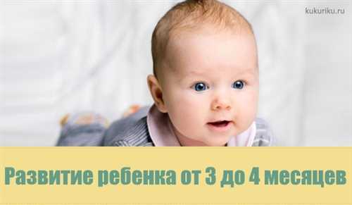 Введите