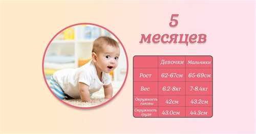 Основные