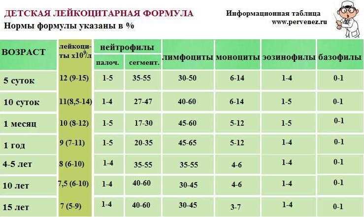 Норма лейкоцитов в крови у ребенка 6 лет
